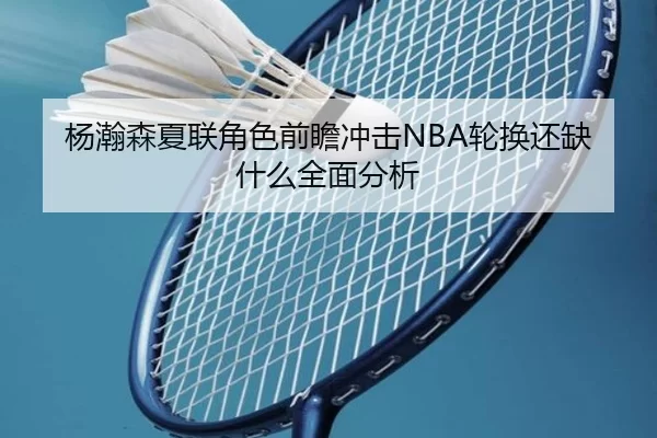 杨瀚森夏联角色前瞻冲击NBA轮换还缺什么全面分析